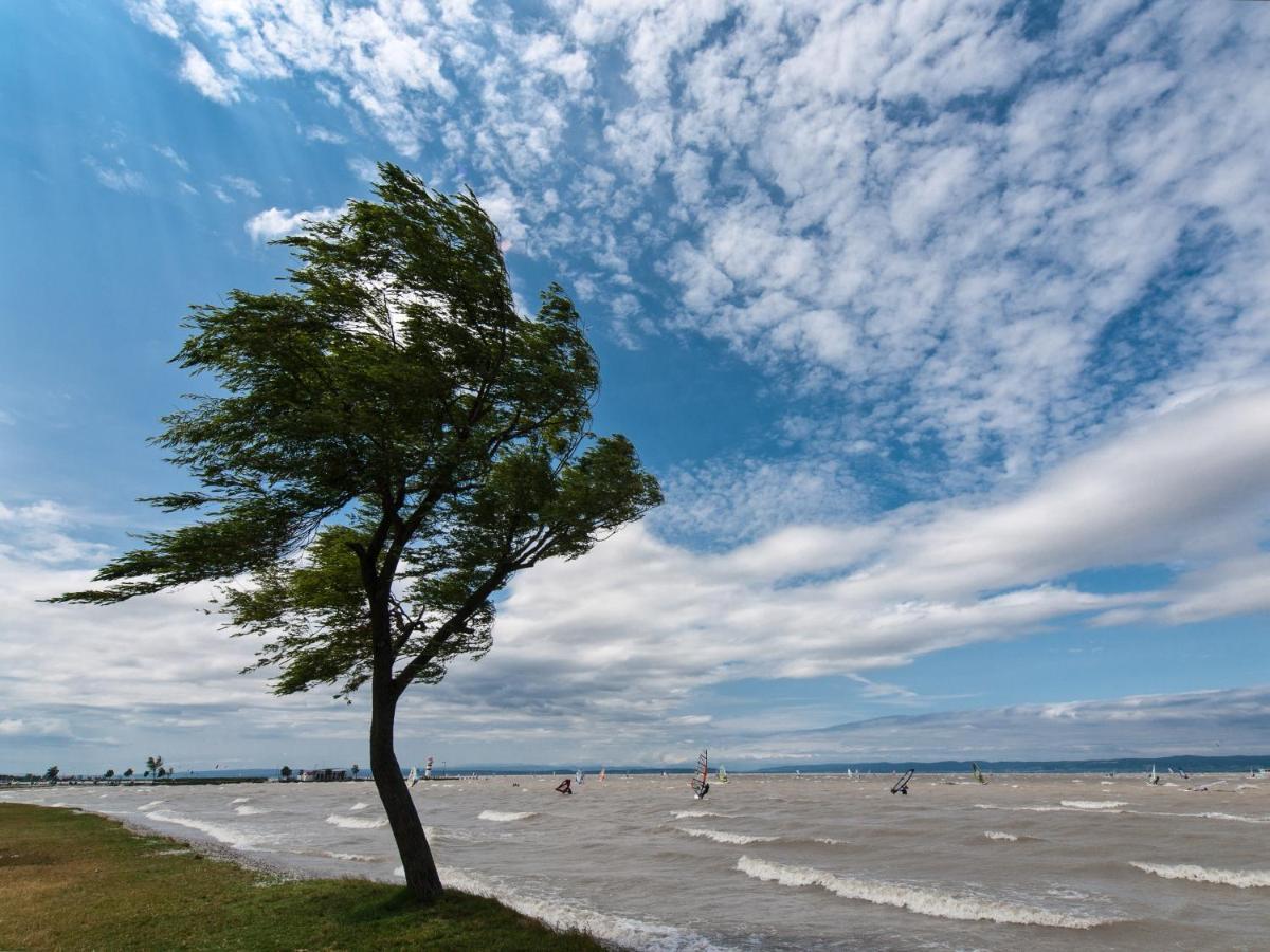 Tinyhouses Am Neusiedlersee Fertőrákos Bagian luar foto